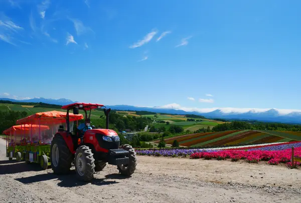 四季彩の丘の写真・動画_image_588569