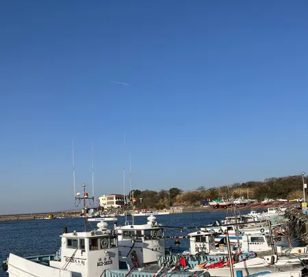 日間賀島の写真・動画_image_588883