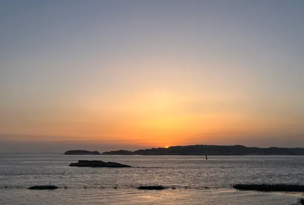 日間賀島いすず館の写真・動画_image_588989