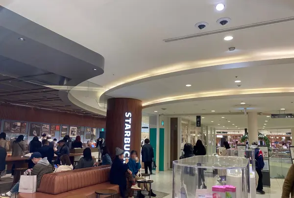 神戸スパイス神戸国際会館 SOL 店の写真・動画_image_589001