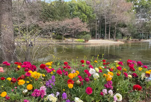 久屋大通庭園フラリエの写真・動画_image_589048