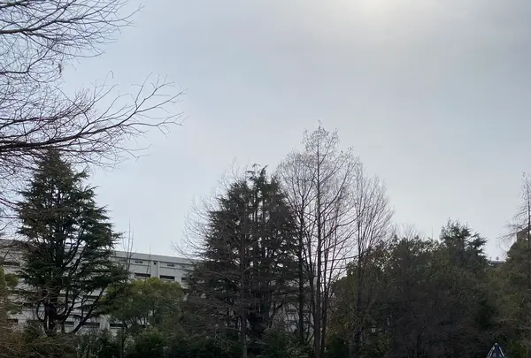 久屋大通庭園フラリエの写真・動画_image_589049