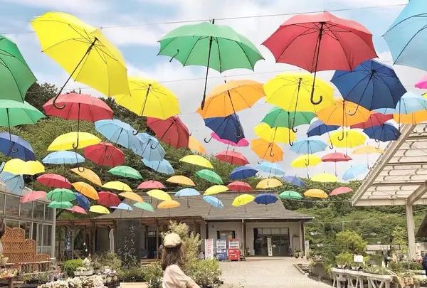 鹿沼市花木センターの写真・動画_image_589105