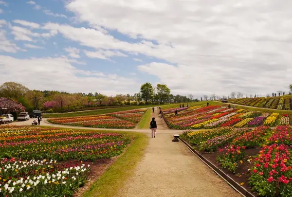 那須フラワーワールドの写真・動画_image_589113
