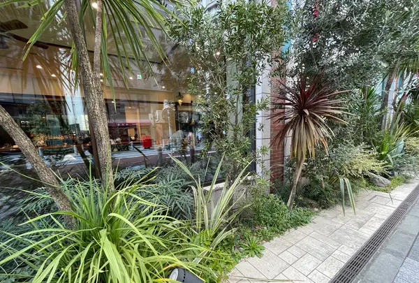 Wande Shibaの写真・動画_image_589319