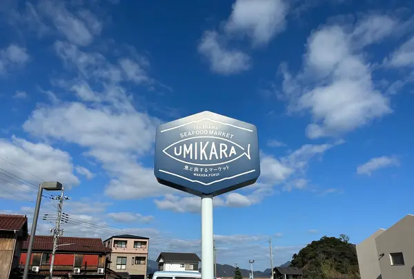 うみから食堂の写真・動画_image_589622