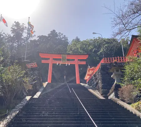 熊野那智大社の写真・動画_image_590439