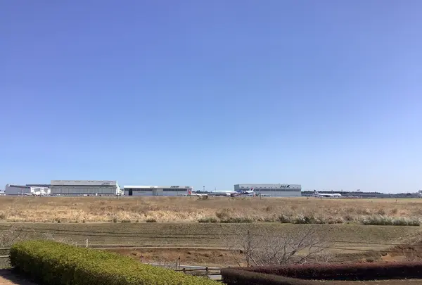 三里塚さくらの丘の写真・動画_image_591166