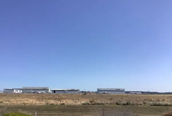 三里塚さくらの丘の写真・動画_image_591167