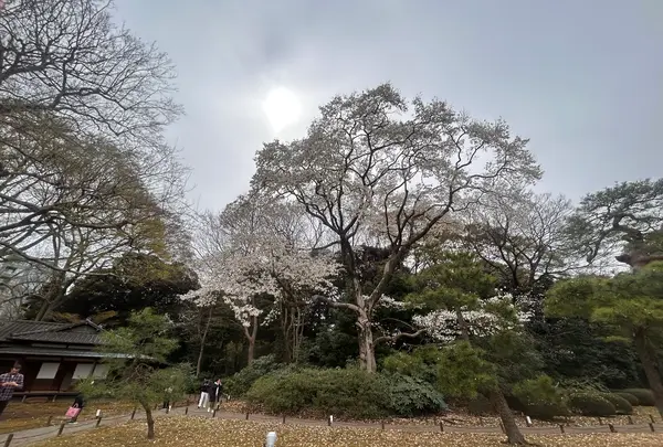 六義園の写真・動画_image_591318