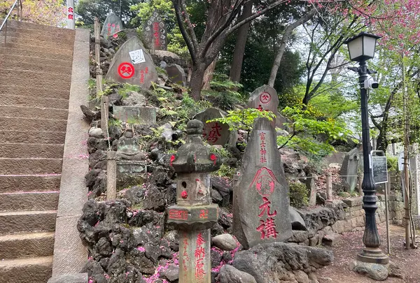 駒込富士神社の写真・動画_image_591324