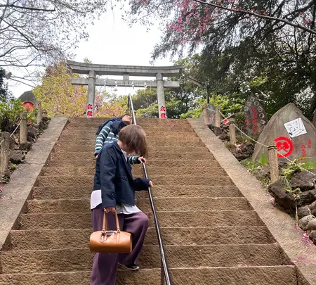 駒込富士神社の写真・動画_image_591325