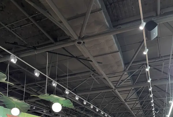 Pay-Less Supermarketsの写真・動画_image_591425