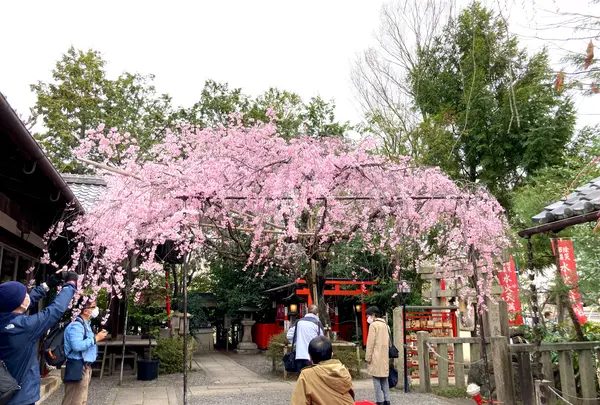 水火天満宮の写真・動画_image_591967