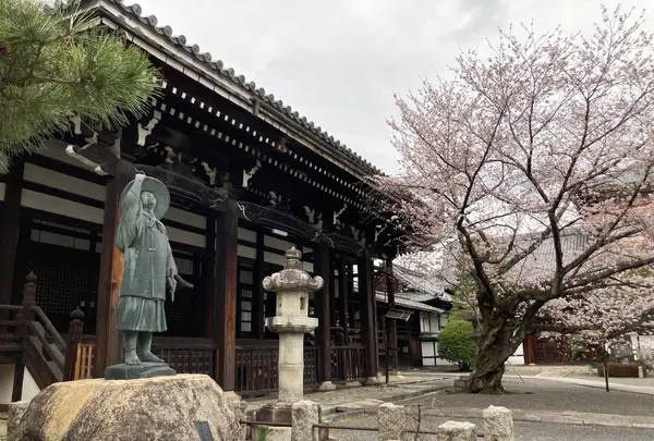 叡昌山 本法寺の写真・動画_image_591974