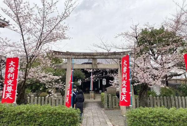 叡昌山 本法寺の写真・動画_image_591977