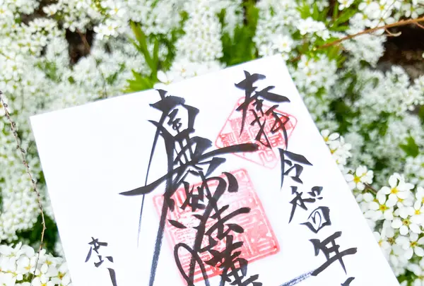 妙覚寺の写真・動画_image_591982