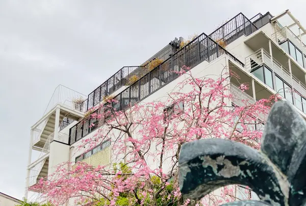 釘抜地蔵（石像寺）の写真・動画_image_592056