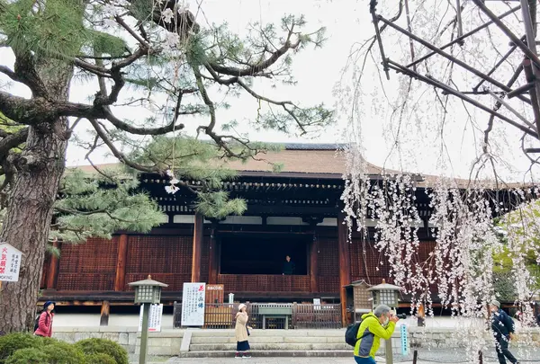 千本釈迦堂（大報恩寺）の写真・動画_image_592060