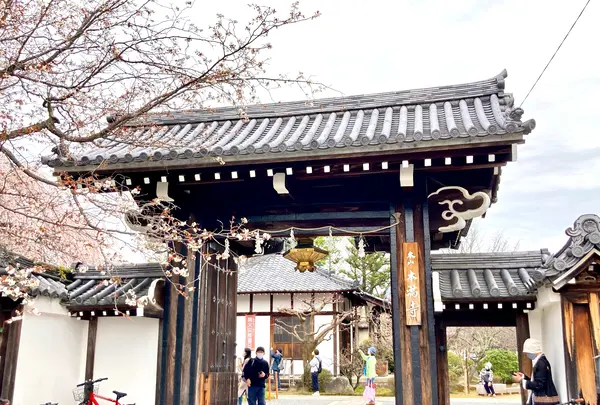 本満寺の写真・動画_image_592081