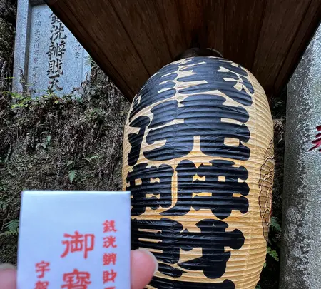 銭洗弁財天 宇賀福神社の写真・動画_image_592205