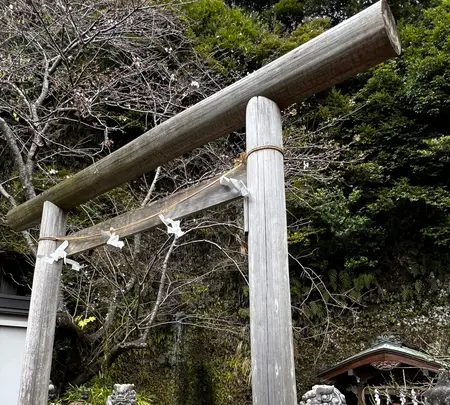 銭洗弁財天 宇賀福神社の写真・動画_image_592206