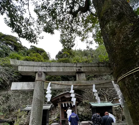 銭洗弁財天 宇賀福神社の写真・動画_image_592211