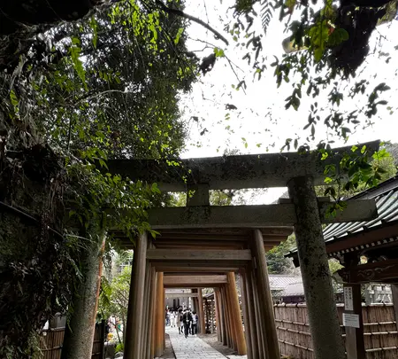 銭洗弁財天 宇賀福神社の写真・動画_image_592212