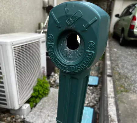 D-PEPEの写真・動画_image_592244