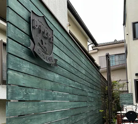 D-PEPEの写真・動画_image_592246