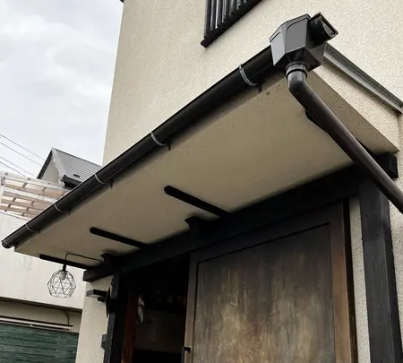 D-PEPEの写真・動画_image_592247