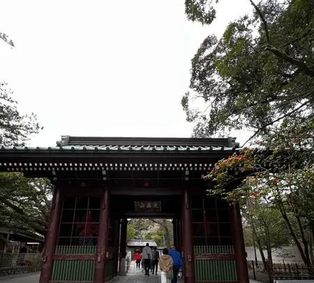 鎌倉大仏（高徳院）の写真・動画_image_592275