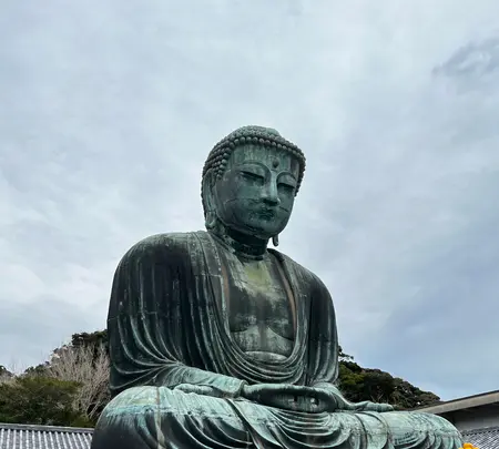鎌倉大仏（高徳院）の写真・動画_image_592278