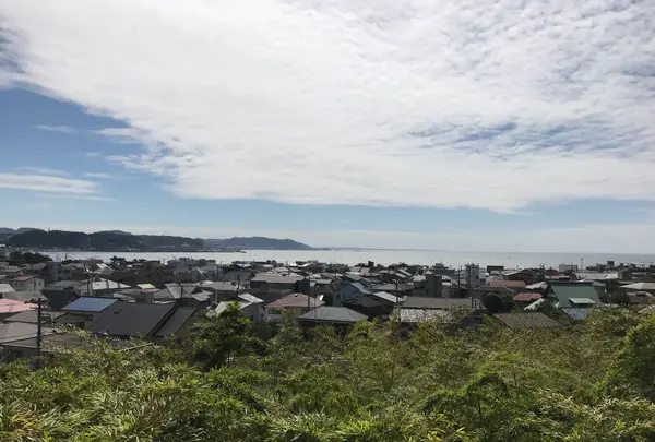 長谷寺の写真・動画_image_592285