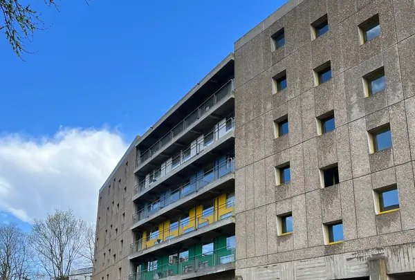 ル・コルビュジエ - ブラジル館の写真・動画_image_592297