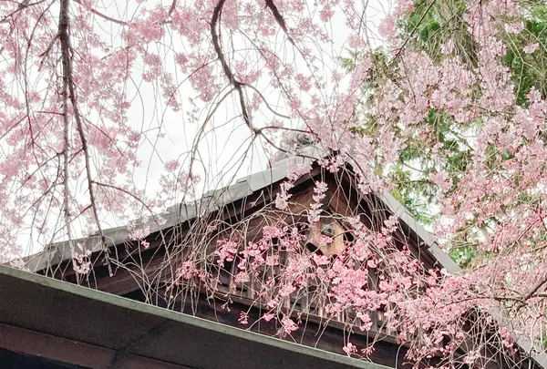 水火天満宮の写真・動画_image_592591