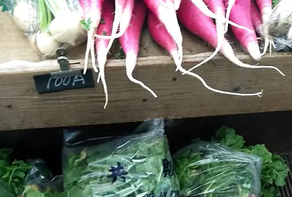 うらり高梨農園の写真・動画_image_592662