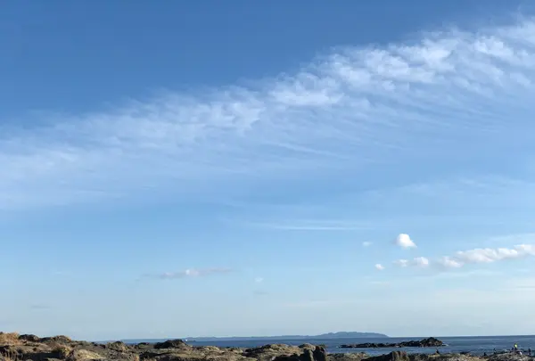 城ケ島の写真・動画_image_592676