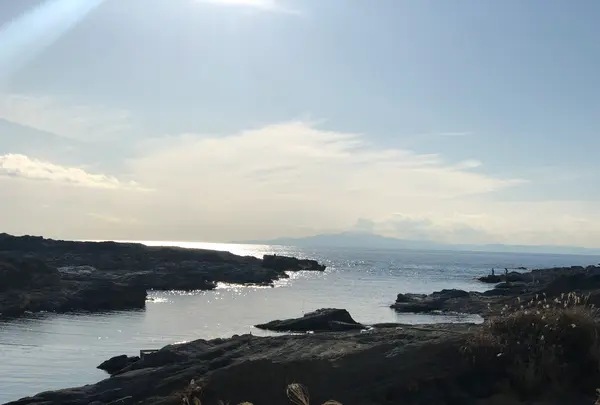 城ケ島の写真・動画_image_592677
