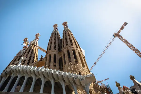 Sagrada Família（サグラダ・ファミリア聖堂）の写真・動画_image_592864