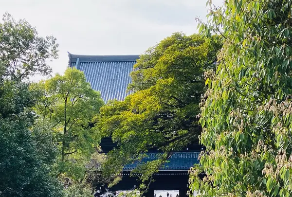 知恩院の写真・動画_image_592899