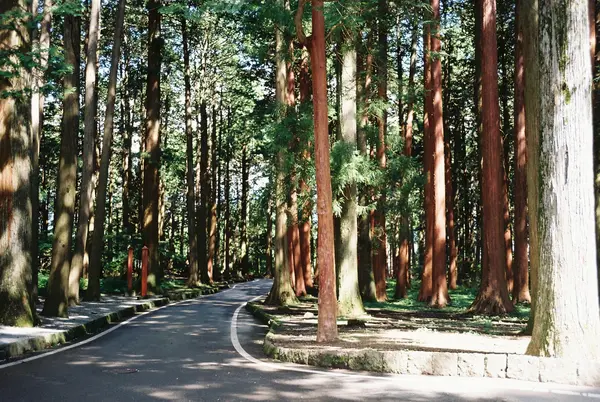 北口本宮冨士浅間神社の写真・動画_image_592932