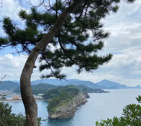 堂ケ島の写真・動画_image_592939