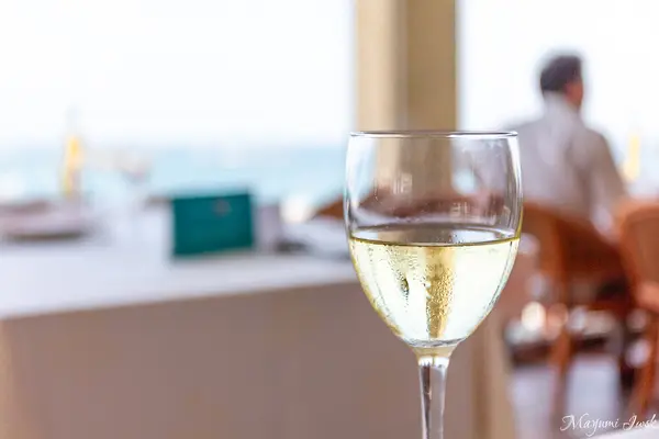 El Cangrejo Locoの写真・動画_image_592985