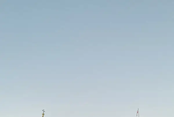 Torre di Pisa （ピサの斜塔）の写真・動画_image_593152