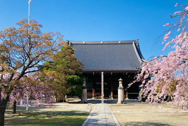 大本山 妙顯寺の写真・動画_image_593170