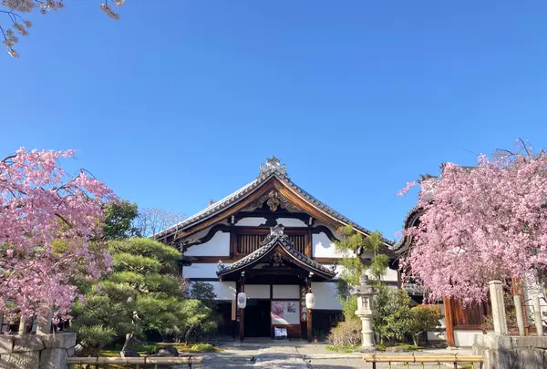 大本山 妙顯寺の写真・動画_image_593172