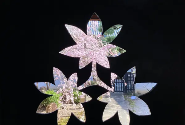 本門法華宗 大本山 妙蓮寺の写真・動画_image_593185