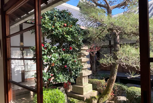 本門法華宗 大本山 妙蓮寺の写真・動画_image_593186