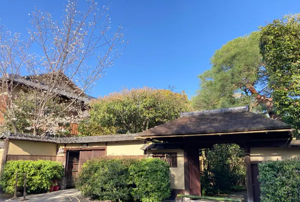 叡昌山 本法寺の写真・動画_image_593204